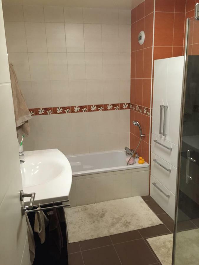 Appartement Des Trois Frontieres Apach 外观 照片
